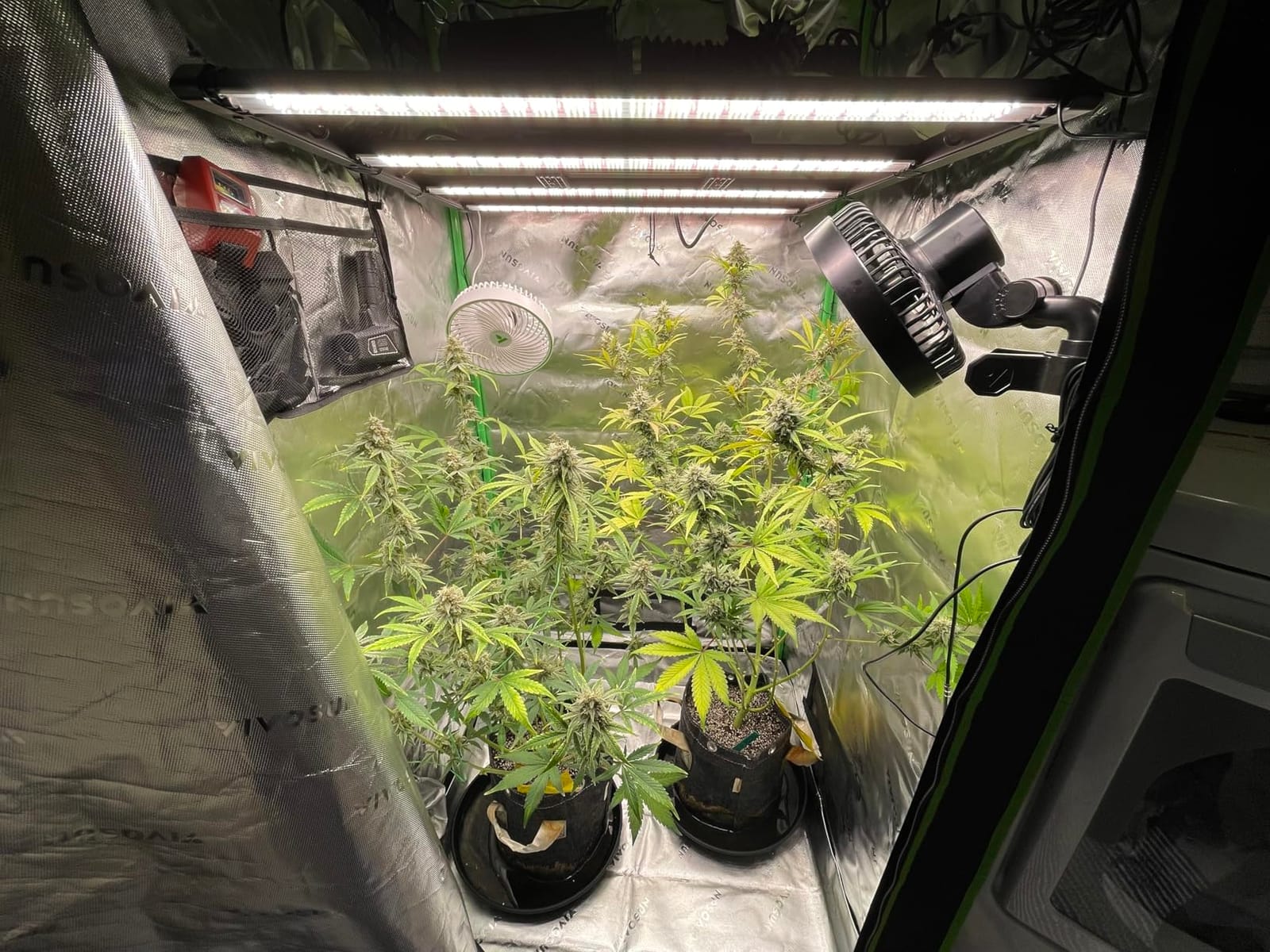 VIVOSUN LumaLight 750W LED Grow Light, Full Spectrum Indoor Plant Light customer photo 2