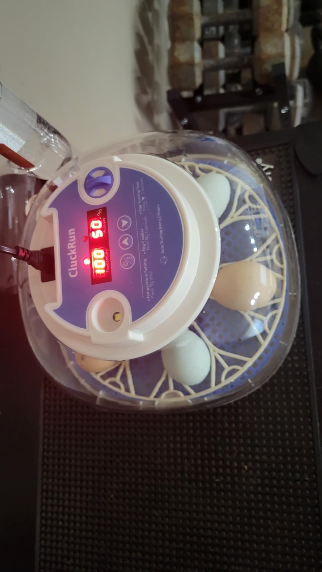 Egg Incubators for Hatching Eggs, 18 Chicken or 8 Large Eggs Incubator customer photo 2