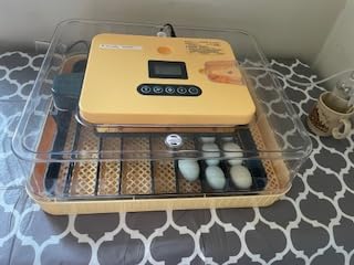 Egg Incubator, 26 Chicken/59 Quail Eggs Incubators for Hatching Eggs with Temp & Humidity Control, Auto Egg Turner, Adjustable Hatch Day & Air Vent, Egg Candler, Auto Water Refill, 360° Clear View customer photo 1