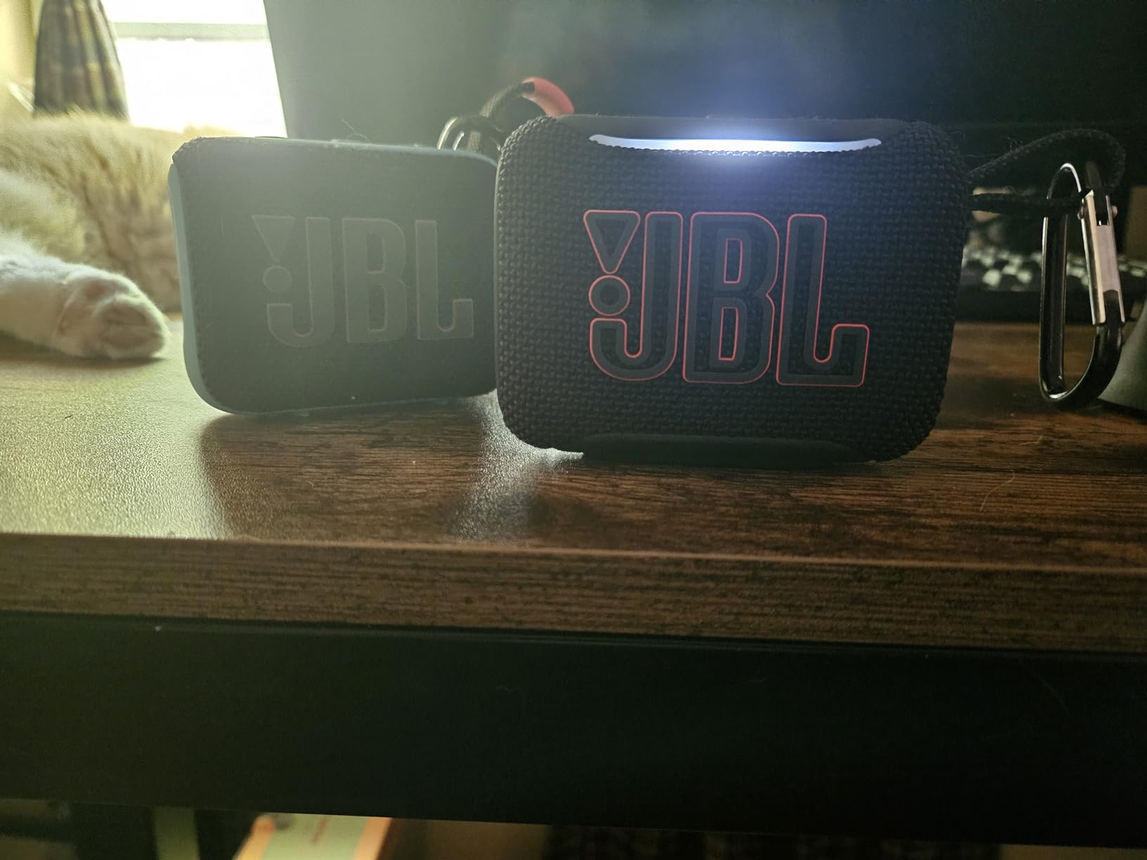 JBL Go 5 Portable Bluetooth Speaker, Waterproof and Dustproof - Teal | Dustproof Drop-Proof With up to 10 Hr Battery, Stereo Pairing, App Control For Pool, Beach, Outdoor Listening customer photo 2