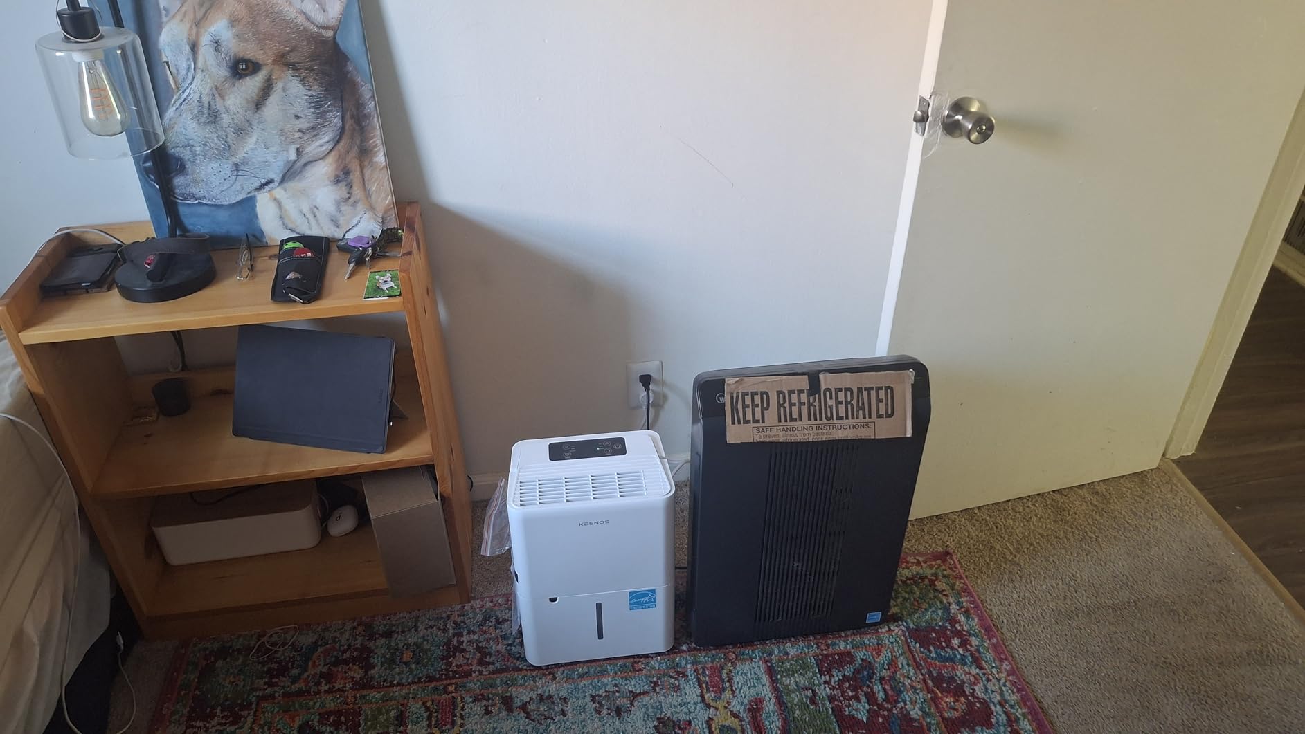 Kesnos 150 Pint Dehumidifier for Basement with Drain Hose, 7,500 Sq. Ft. | Ideal for Commercial and Industrial Large Room, 30-80% RH Humidity Control, 2.11-Gal Water Tank, Rotary Compressor customer photo 2