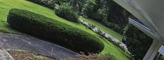 Sun Joe SPX100-GO Electric Pressure Washer, 13-Amp, 4 Nozzles, Foam Cannon customer photo 2