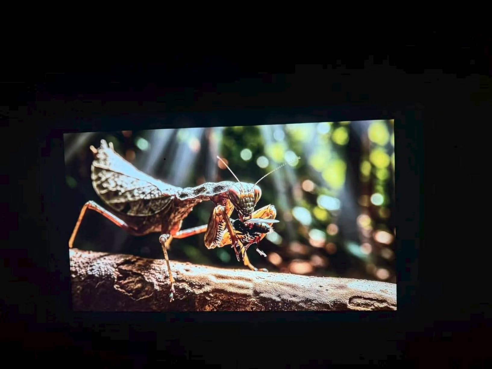 2000 ANSI Google TV-Licensed Projector, 4K/8K Input Support, Dual 36W Dolby customer photo 2