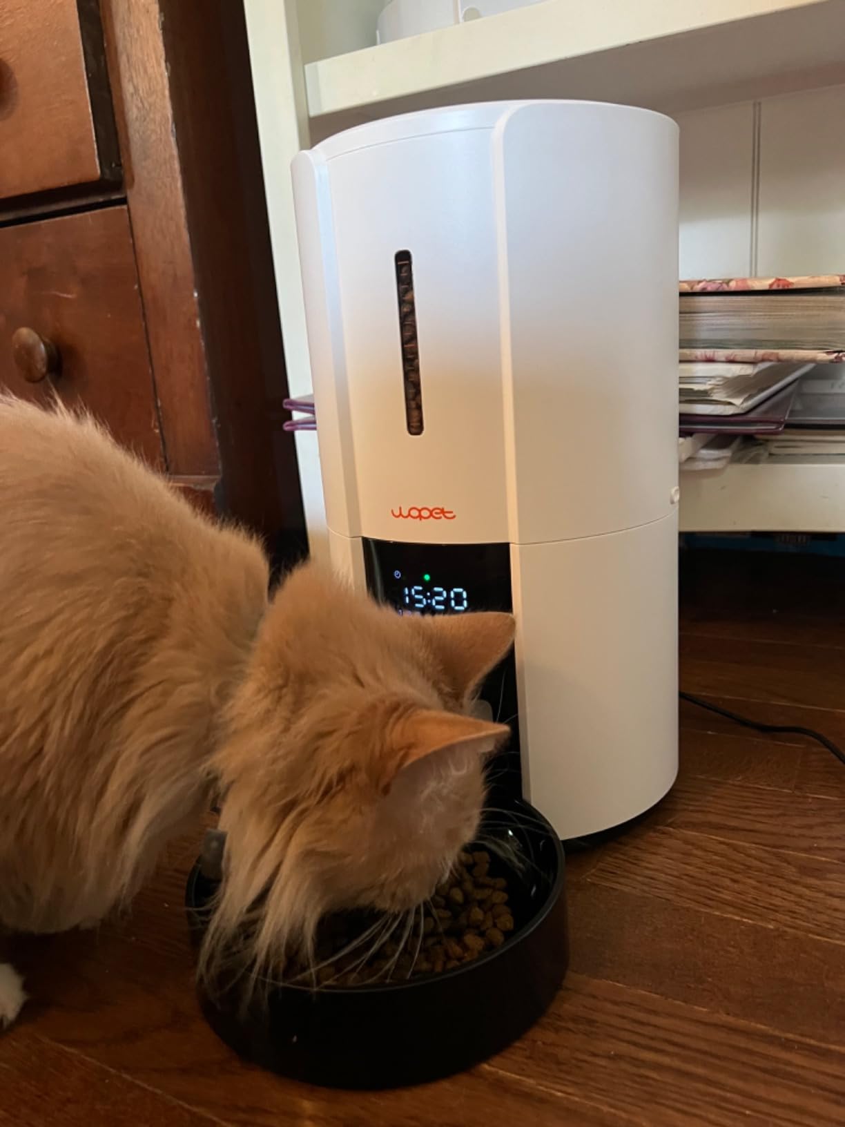 WOPET Automatic Cat Feeder, 3L Pet Dry Food Dispenser, Timed Portion Control with 6 Meals, Voice Recorder, Battery Backup customer photo 1