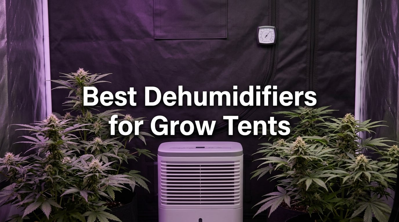 Best Dehumidifiers for Grow Tents