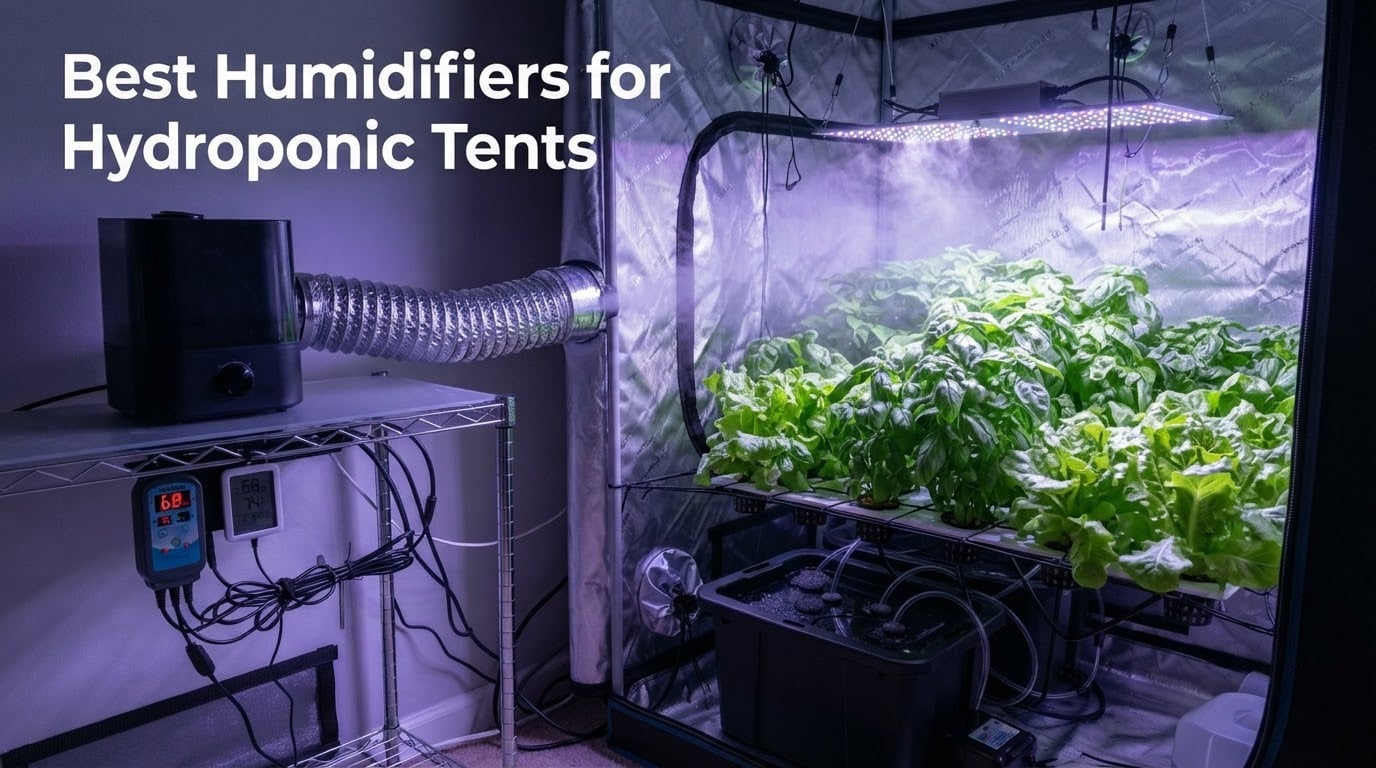 Best Humidifiers for Hydroponic Tents