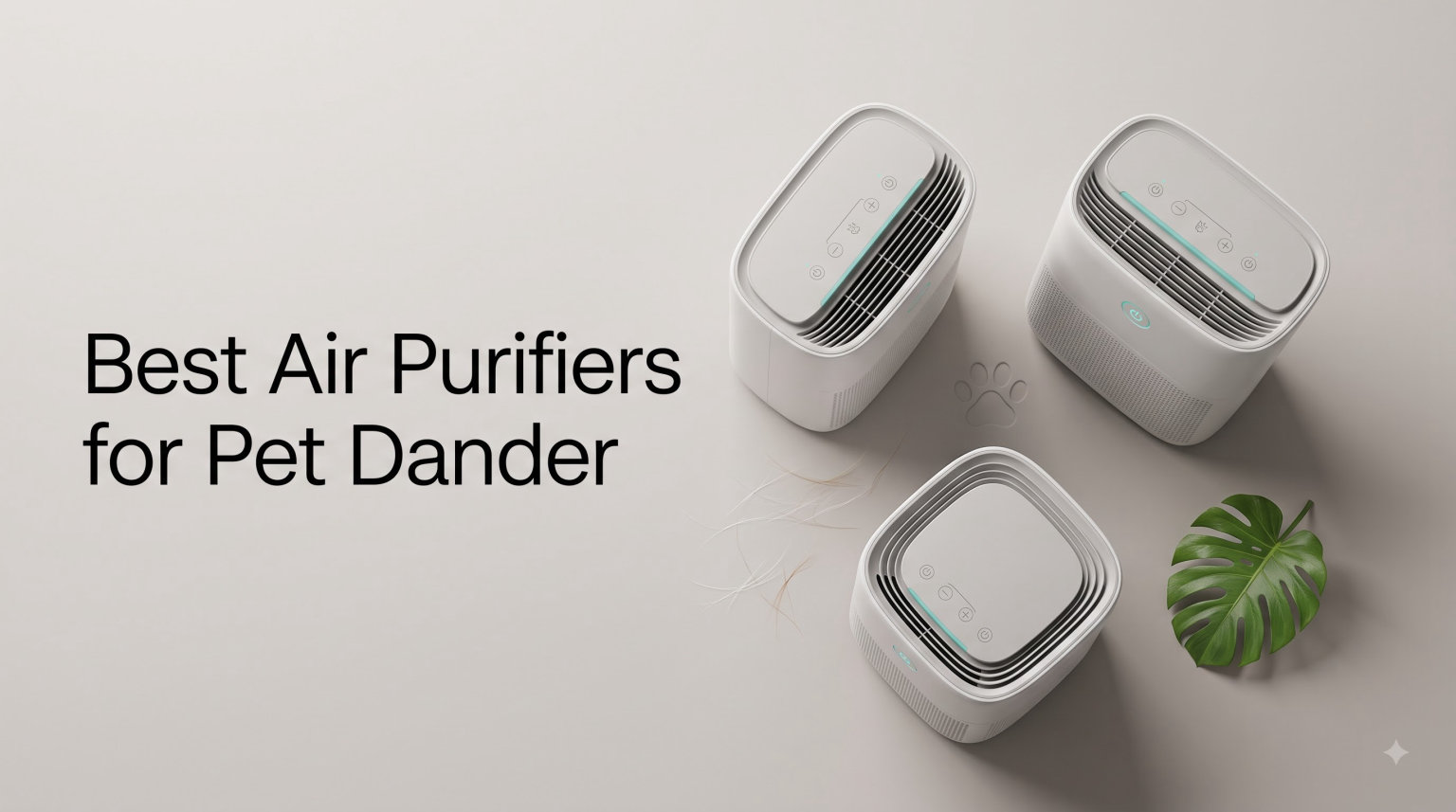 Best Air Purifiers for Pet Dander