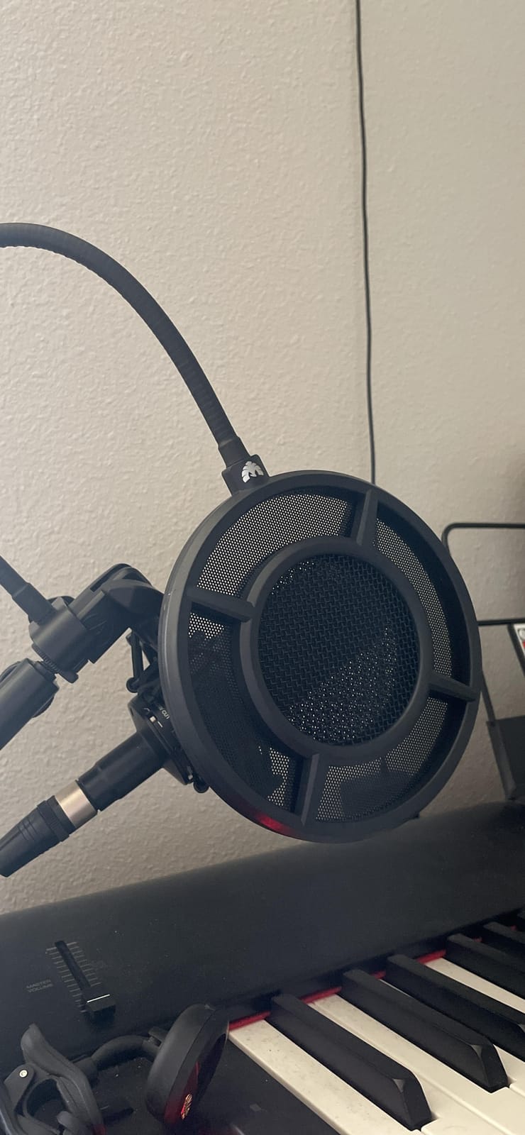 Mic Pop Filter, Professional Metallic Mic Pop Filter Mesh for Blue Yeti and Any Other Mic, ARISEN Dual Layered Microphone Pop Filter, Mic Filter with A Flexible 360° Gooseneck Clip Stabilizing Arm customer photo 1