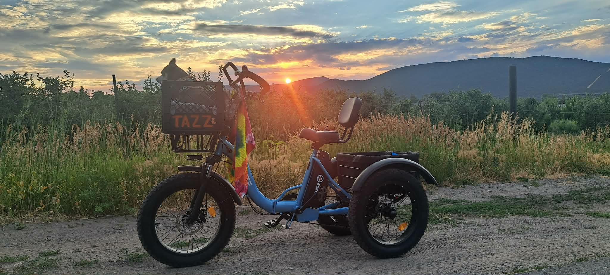 ESKUTE T300 Pro Electric Trike for Adults & Seniors,998.4Wh Long-Range Battery, 1200W Peak Motor, 20